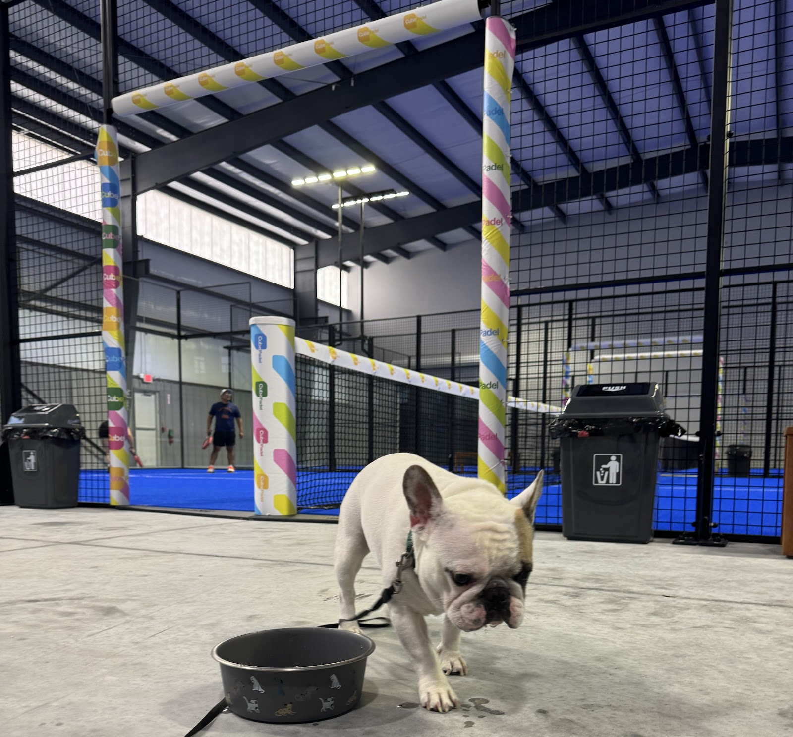 Cube Padel Houston — photo 2 of 5