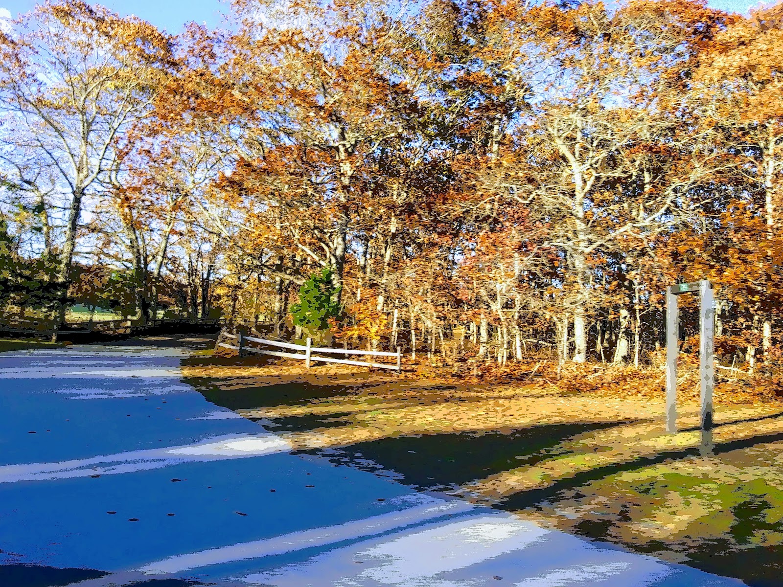 Hampton Racquet — photo 2 of 5
