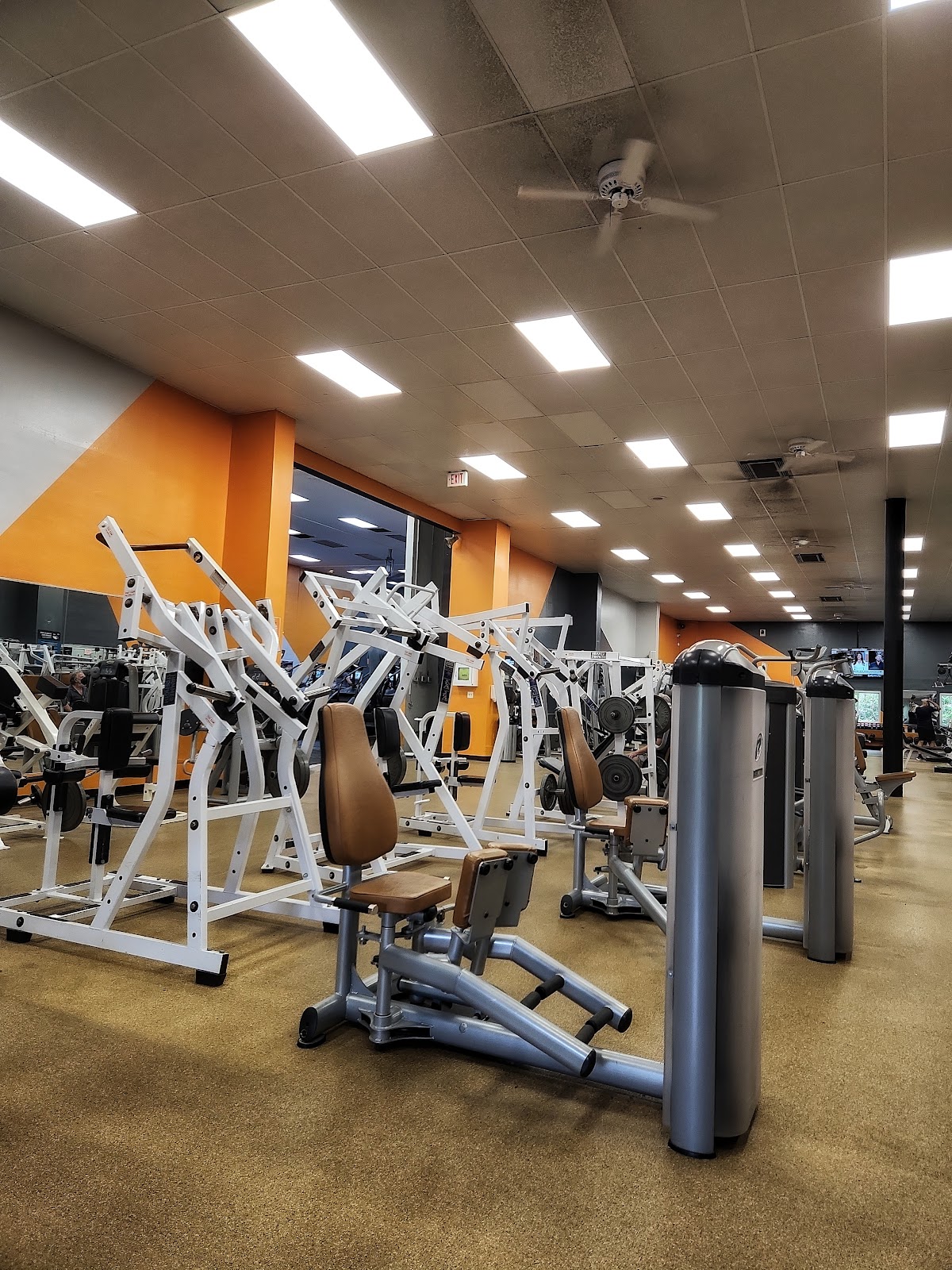 PADELphia at AFC Fitness — photo 3 of 5