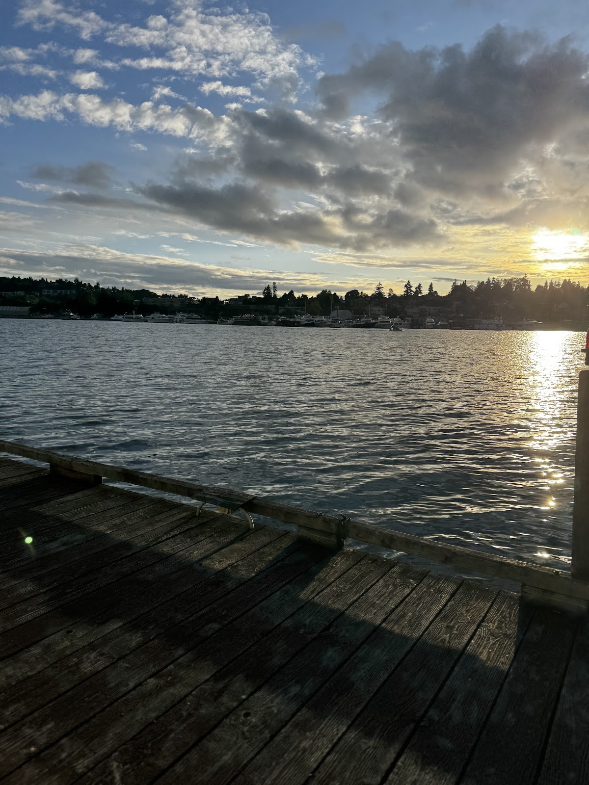 Seattle Padel — photo 5 of 5