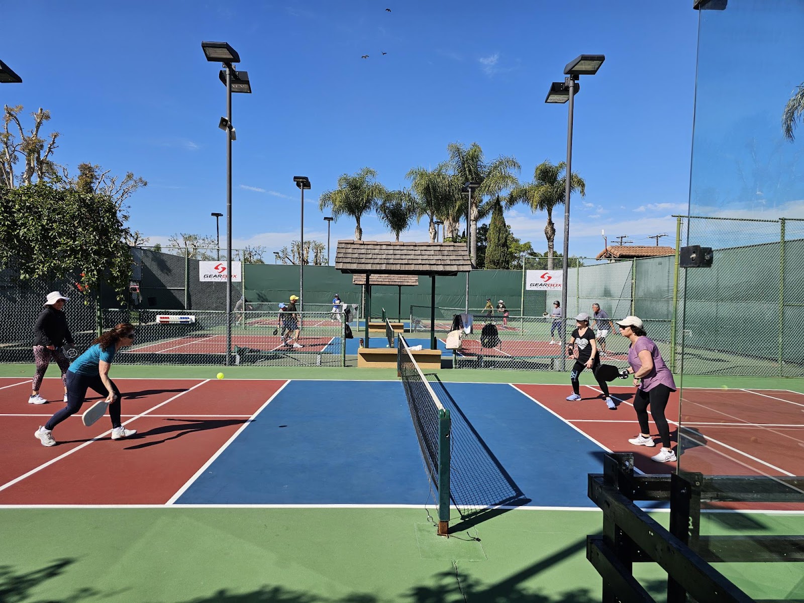 South End Racquet & Health Club — photo 4 of 5