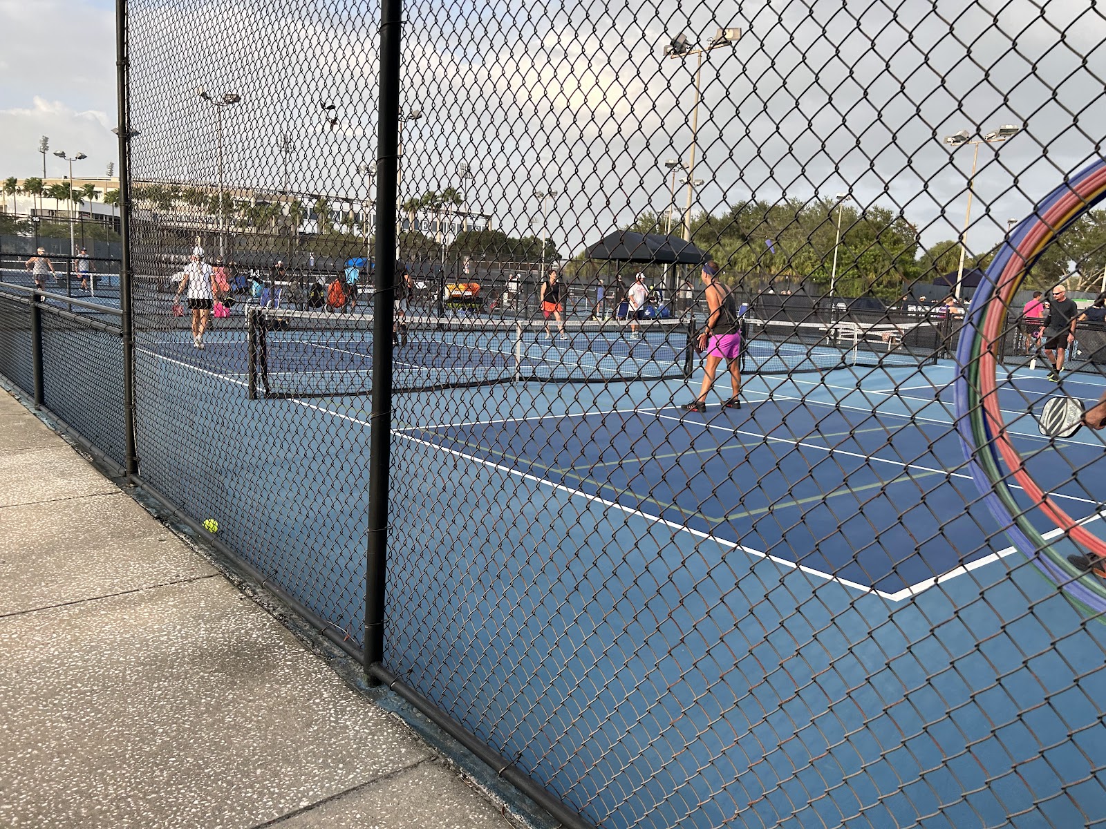 Tampa Padel Club — photo 3 of 5