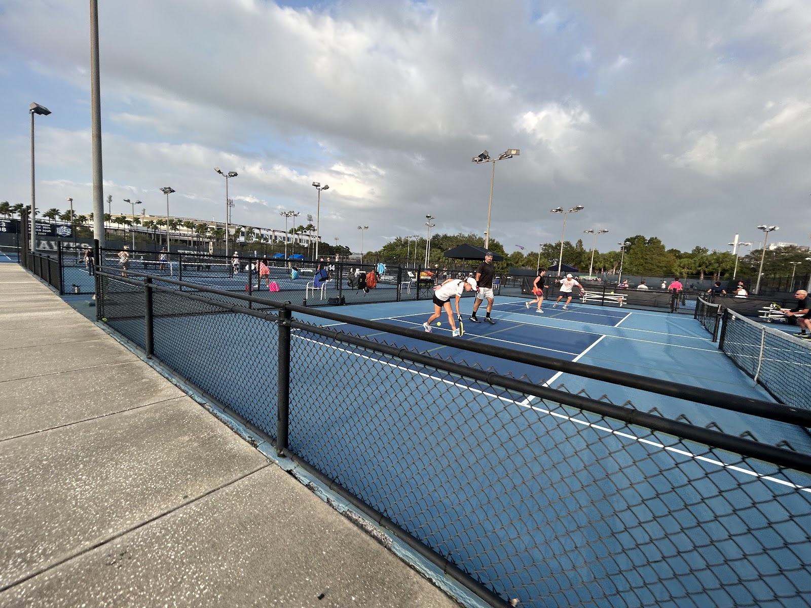 Tampa Padel Club — photo 5 of 5